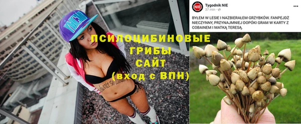 дживик Абаза